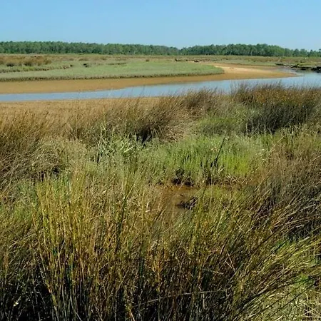 شقة Agreable Au لا تاسْتْ دو بوك