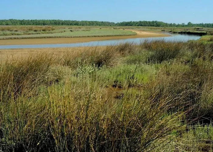 Appartement Agreable Au La Teste-de-Buch